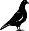 Pigeon Logo Monochrome Design Style