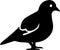 Pigeon Logo Monochrome Design Style