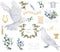 Pigeon and olive clip art digital drawing watercolor bird fly peace dove for wedding celebration illustration similar on white