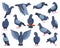 Pigeon of peace cartoon vector illustration on white background.Vector illustration set icon dove of bird .Isolated set