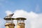 Pigeon perched on top of a pair of chimney stacks against a soft diffused blue sky background
