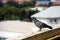 Pigeon perching on the balcony. The bird and shiny green mane standing.