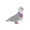 Pigeon pixel art. Dove 8 bit. Vector illustration