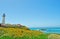 Pigeon Point Light Station, lighthouse, west coast, flowers, Pacific Ocean, beach, California, United States of America, Usa