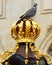 A pigeon poses triumphantly on a gilded post in the French city of Nancy
