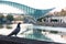 Pigeon posing with Tbilisi bridge