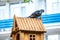 A pigeon on the roof of a small wooden bird house has turned its head and is looking somewhere