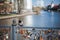 Pigeon sits on a bridge with wedding locks