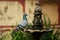 Pigeon sits at the edge of the ancient fountain