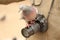 A pigeon sitting on a camera