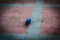 Pigeon sitting on the floor, pigeon head is hide, pigeon head not captured