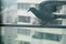 Pigeon sitting on the railing of veranda seeking shelter from heavy rains