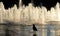 Pigeon standing in front of a fountain