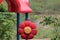 Pigeon on sunflower smiley sculpture at park