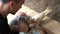 A pigeon takes food from a paper bag from a guy who wanted to feed him