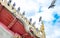 Pigeon on Thai temple roof with blue sky