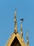 Pigeon winged on top of temple roof