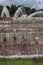 Pigeons bathe in the city fountain