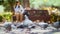 Pigeons begging for food. Girl sitting on a bench in the Park feeding pigeons.