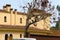 Pigeons on the branches of a dried tree in a Spanish town.