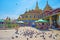 The pigeons at Buddhist Temple on Inle Lake, Myanmar