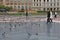 Pigeons in the Catalonia Square, Barcelona