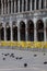 Pigeons and chairs on St. Marc Square