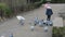 Pigeons chasing little girl in the park