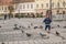 pigeons and children n Grand Square, Sibiu, Romaniai