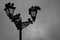 Pigeons on a city lantern.