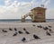 Pigeons and a Closed Lifeguard Shack on a Deserted Beach