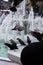 Pigeons drinking water from marble fountain at the city park