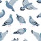 Pigeons flat vector seamless pattern. Cartoon grey birds on white background. Trendy animalistic textile print. Wildlife