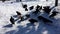 Pigeons flocking in the snow doves in the park new york usa take off slow motion video