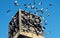 Pigeons Fly Around Baku Clock Tower