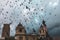 Pigeons flying above Plaza Murillo in Bolivia