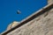 Pigeons flying in front of the canon battery in Portugal