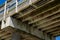 Pigeons gathering between the joists of an elevated pier boardwalk deck supported on concrete pilings