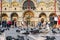 Pigeons and gulls in the Piazza San Marco, Venice