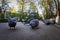 Pigeons pecking the grain in the Park