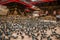 Pigeons playing on a hindu temple.