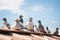 Pigeons resting on the rooftop