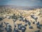 Pigeons in rural mountain landscape, cappadocia, Turkey -