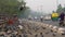 Pigeons savoring a feast by the roads of Delhi amidst the passing vehicles.