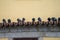 Pigeons sit on clay rooftop tiles above a window on a building with yellow facade in Porto, Portugal