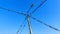 Pigeons sit on electic wires on classic blue sky background. Business concept.