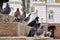 Pigeons sitting on the granite steps in Moscow