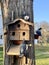 Pigeons are sitting on the roof in the dovecote. Bird feeder in the park. Wooden house for purebred pigeons