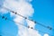 Pigeons are sitting on wires, birds sitting on power lines over clear sky