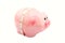 Piggy Bank